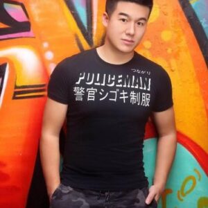 六六