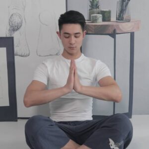 龙应台