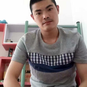 胡杨林