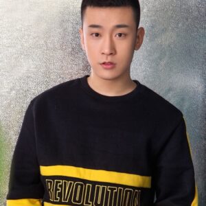 段崇智