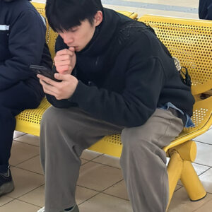 陈滢