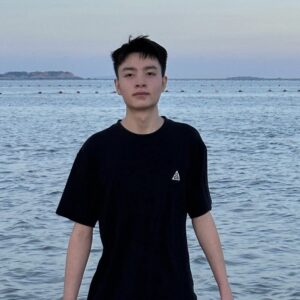 齐卫平