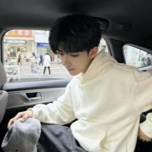 段进